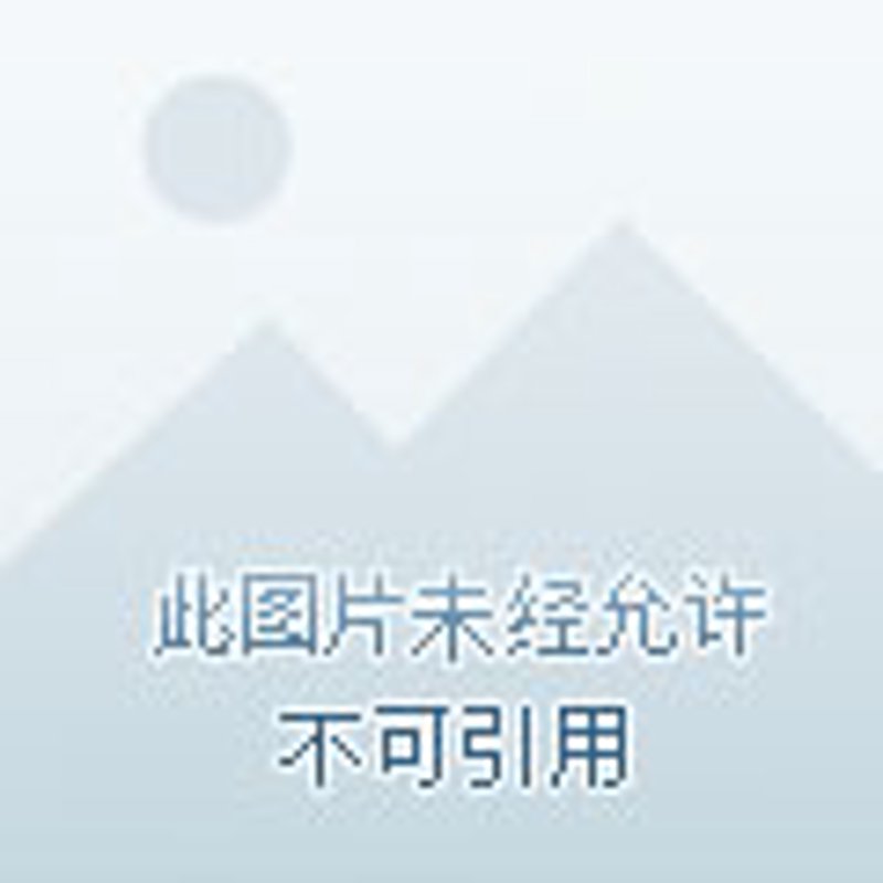 人事代理:企业如何高效管理人力成本?